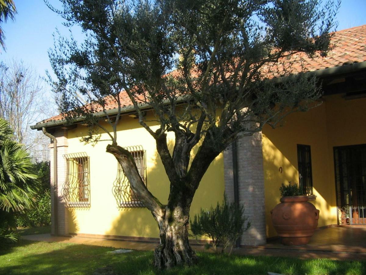 روبانو B&B La Vigna Di Federico المظهر الخارجي الصورة